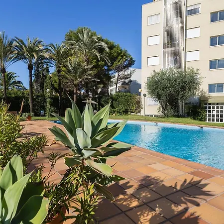 Javea Javea